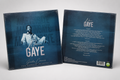 MARVIN GAYE – Grandes Canciones por Grandes Intérpretes (Vinilo LP)